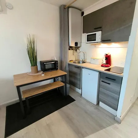 Apartment Renove Avec Jardin Proche De La